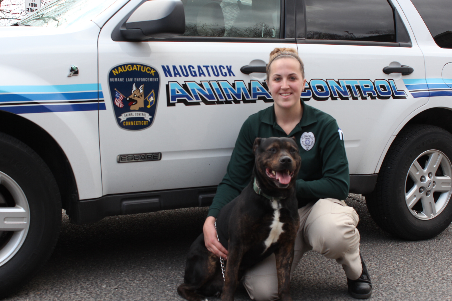 Animal Control